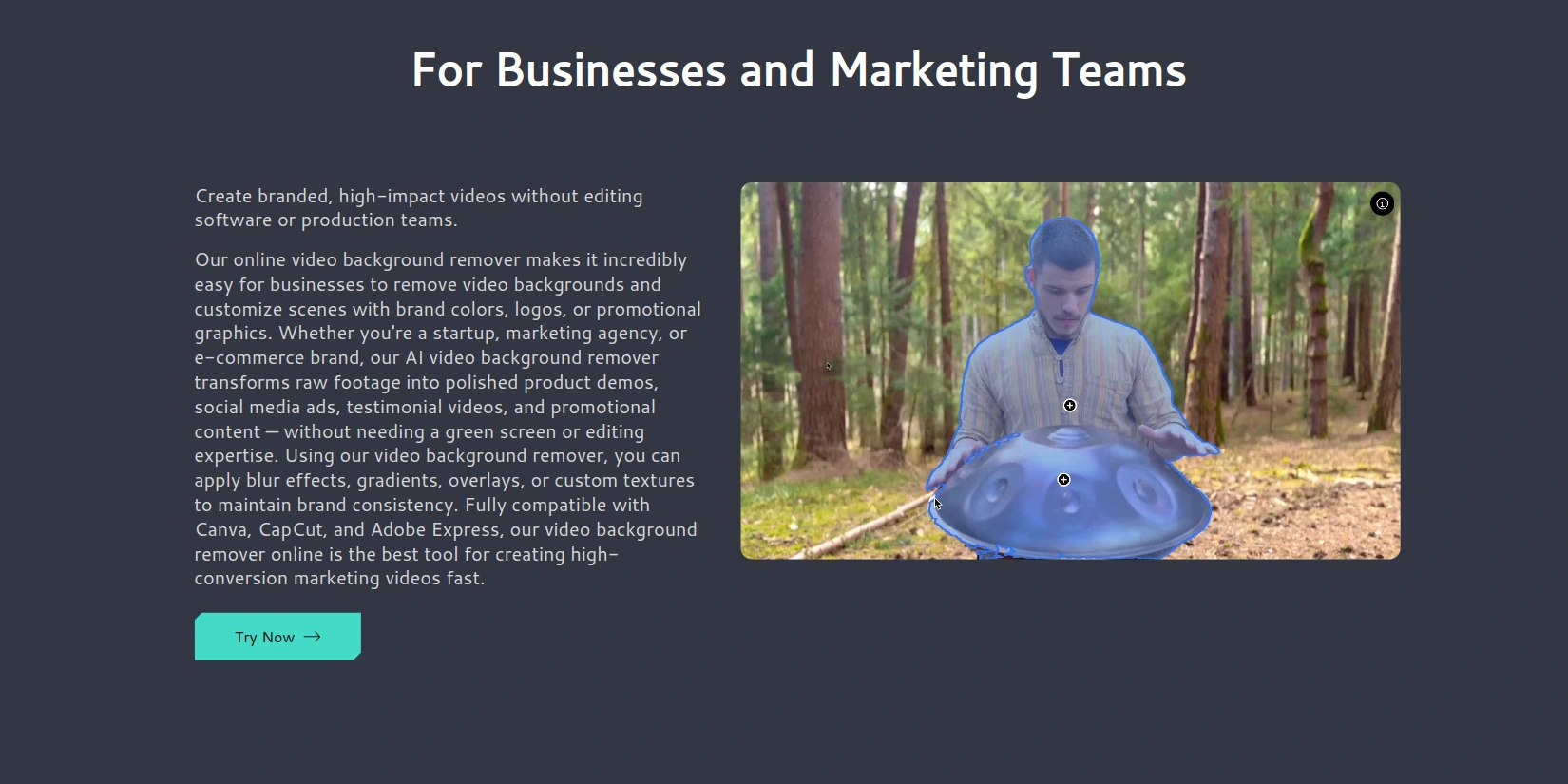 Video Background Remover